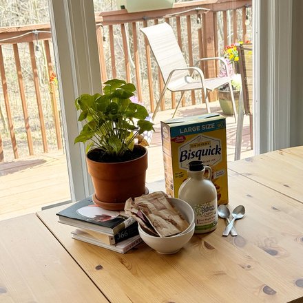 A potted plant, books and a bowl on a pine table by a sunny deck door